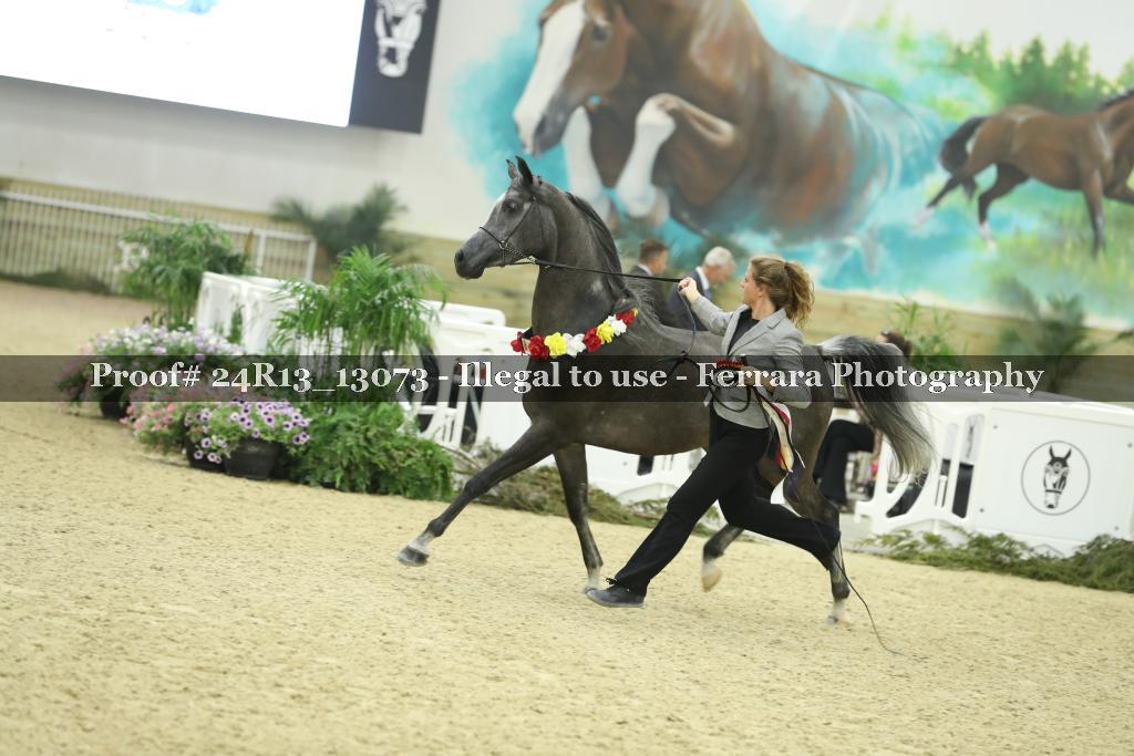Proof 24R13_13073
