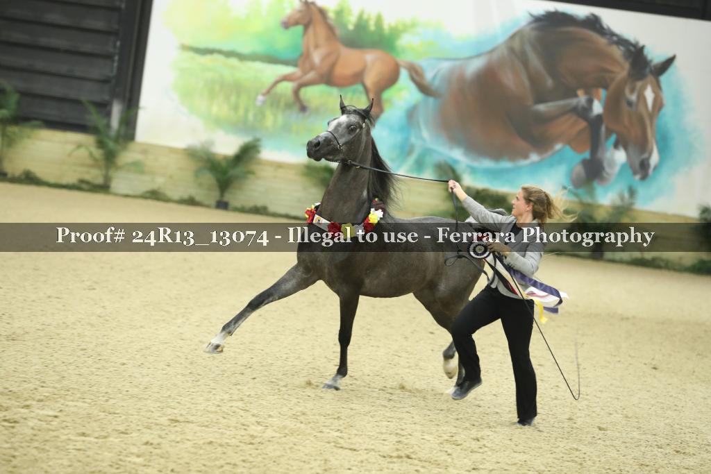 Proof 24R13_13074