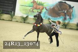 24R13_13074 proof