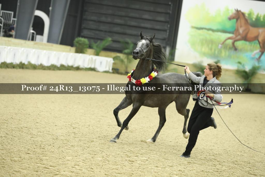 Proof 24R13_13075