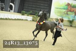 24R13_13075 proof