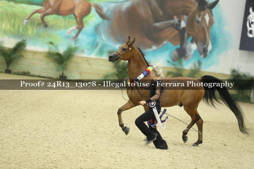 Proof 24R13_13078