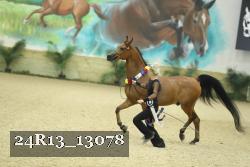 24R13_13078 proof
