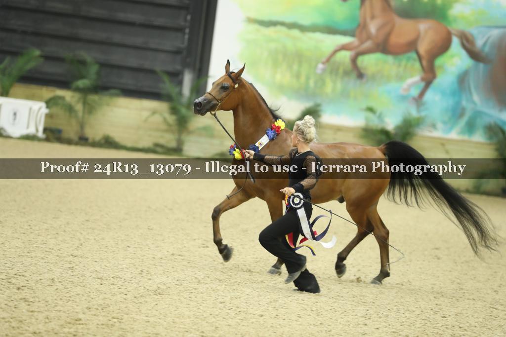 Proof 24R13_13079