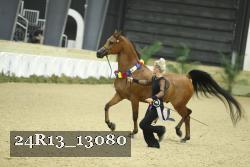 24R13_13080 proof