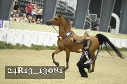 24R13_13081 proof
