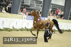 24R13_13082 proof