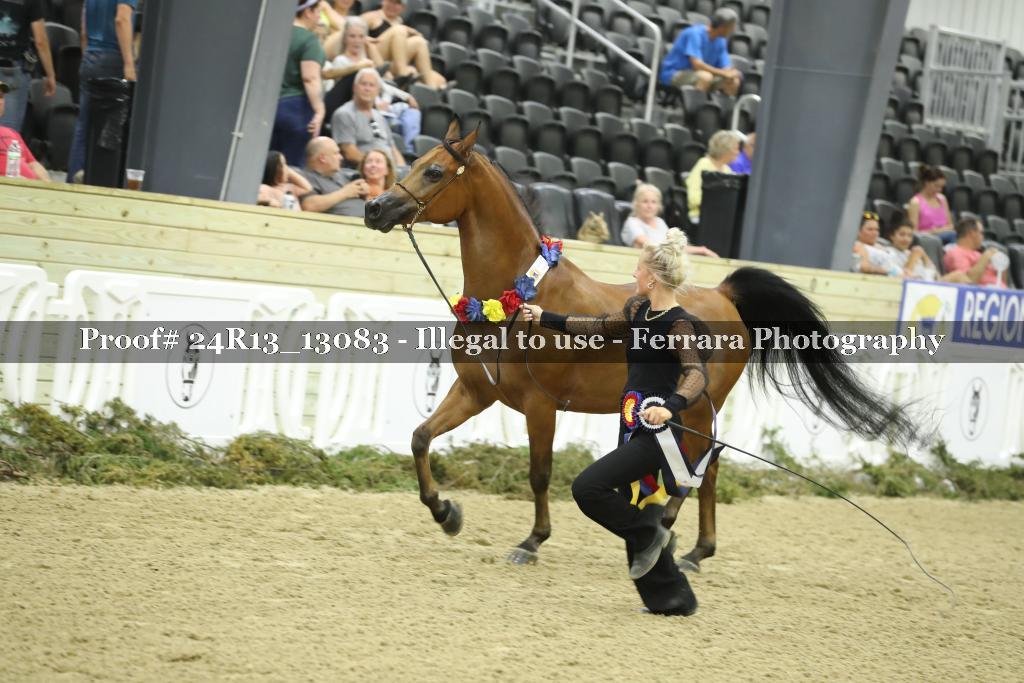 Proof 24R13_13083