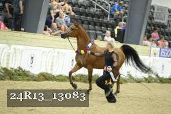 24R13_13083 proof