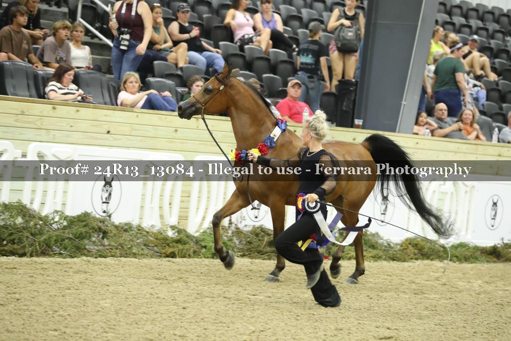 Proof 24R13_13084