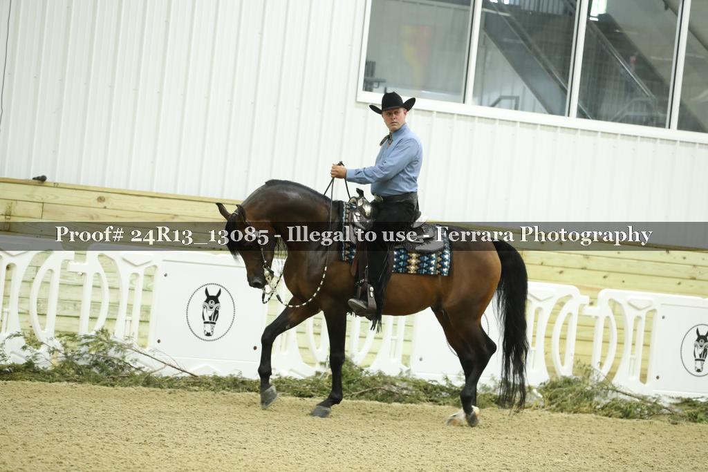 Proof 24R13_13085