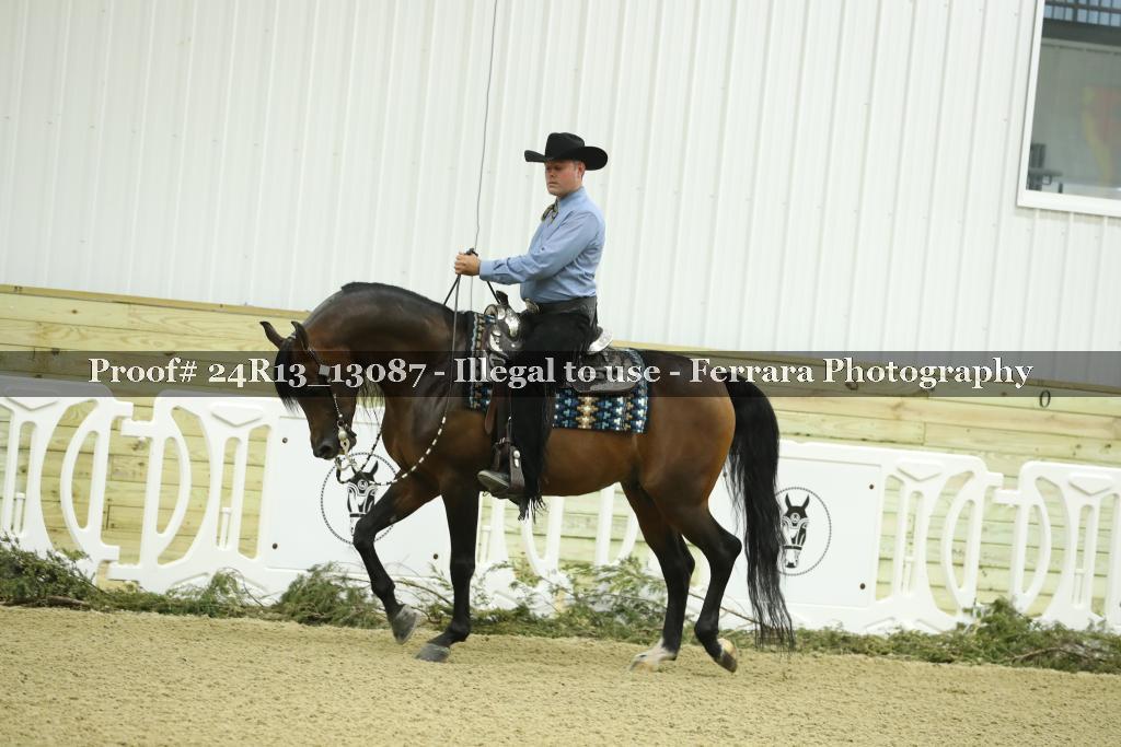 Proof 24R13_13087