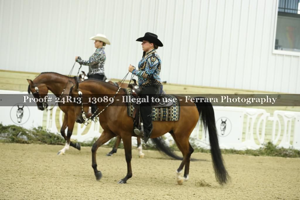 Proof 24R13_13089