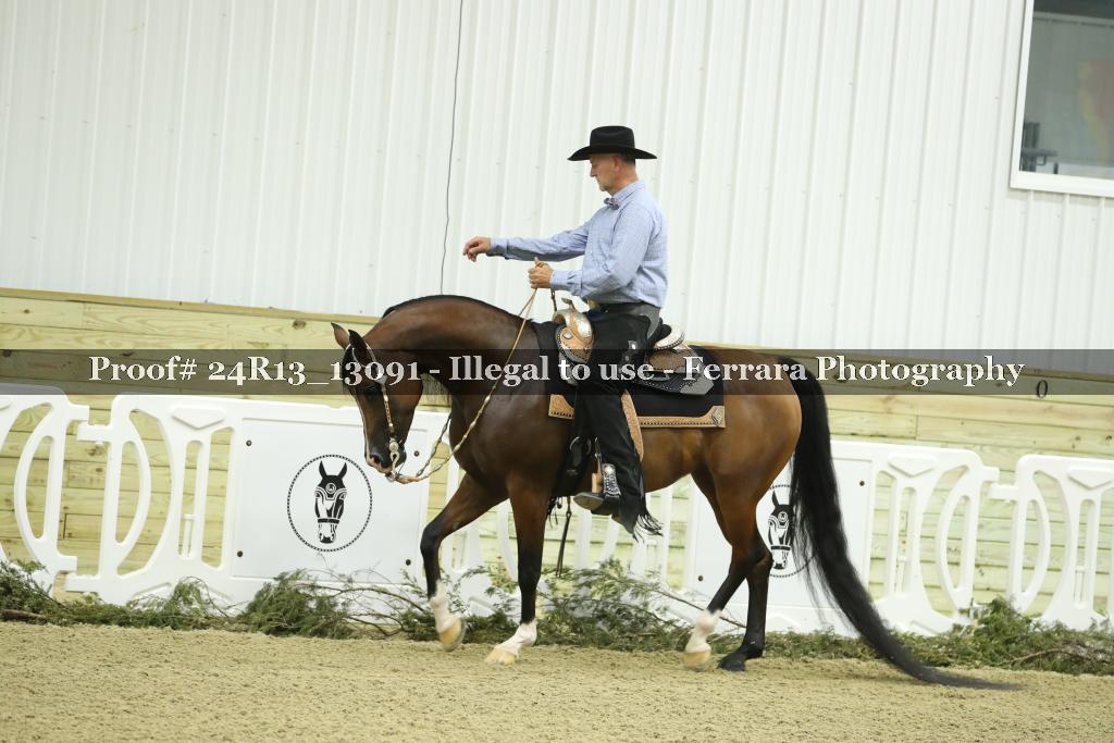 Proof 24R13_13091