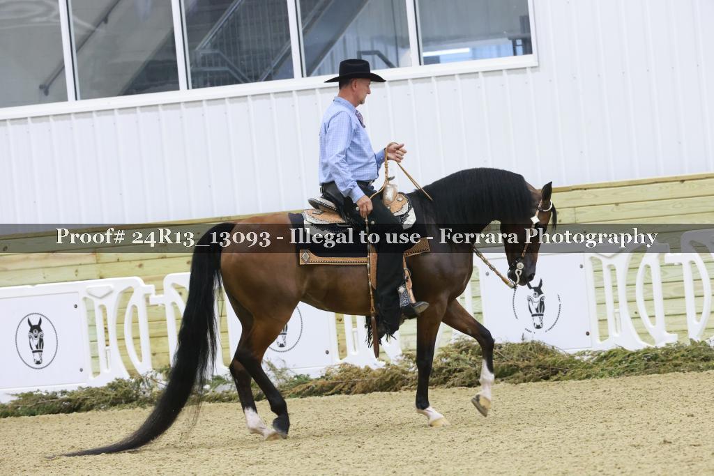 Proof 24R13_13093