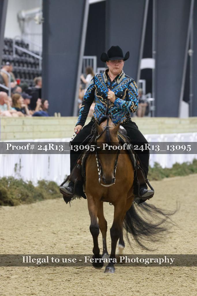 Proof 24R13_13095