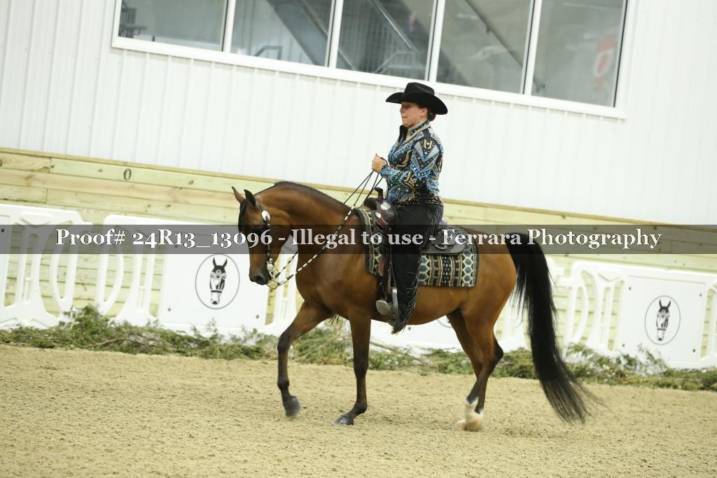 Proof 24R13_13096
