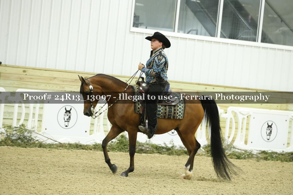 Proof 24R13_13097