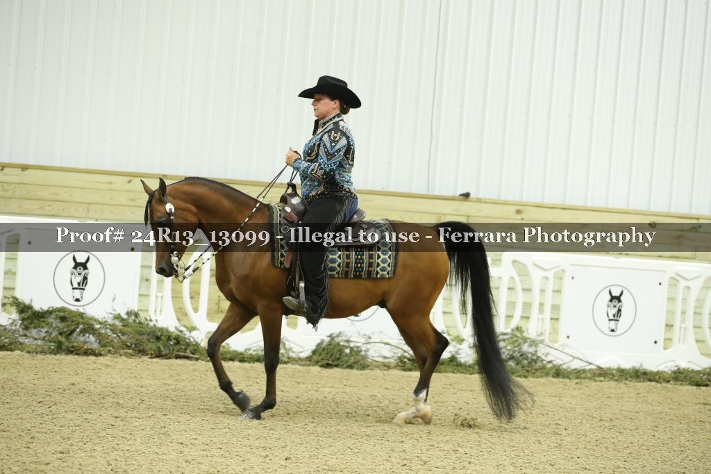 Proof 24R13_13099