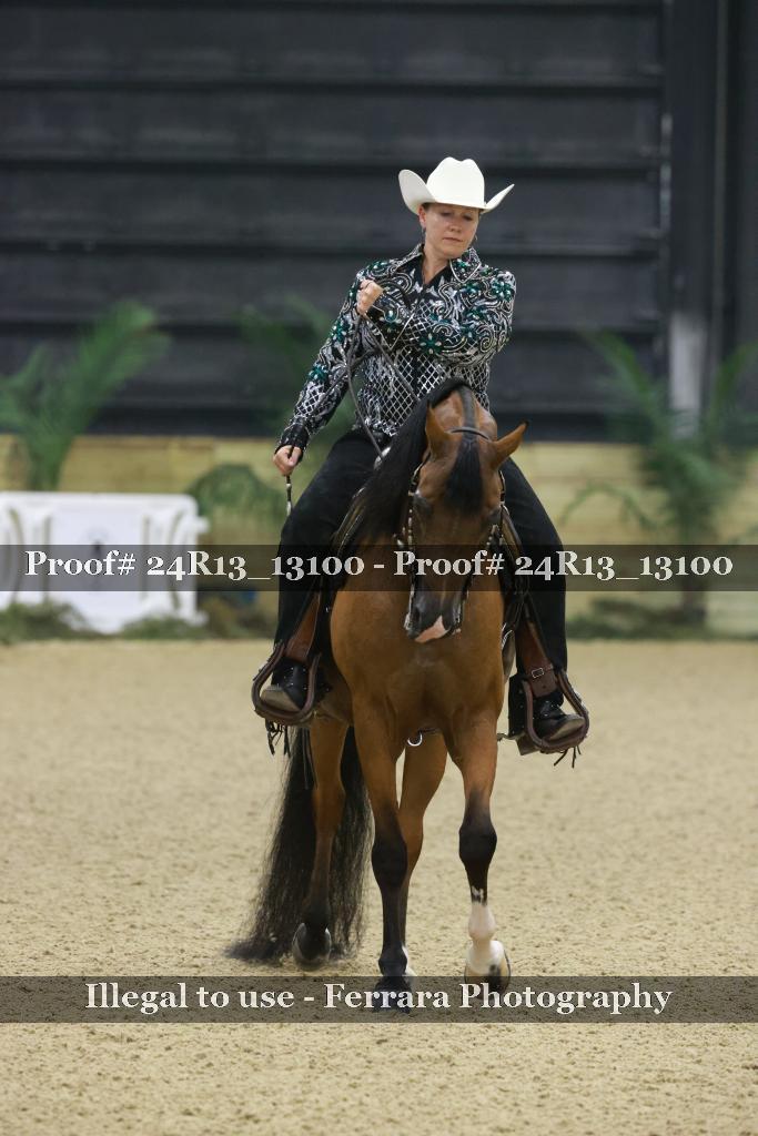 Proof 24R13_13100