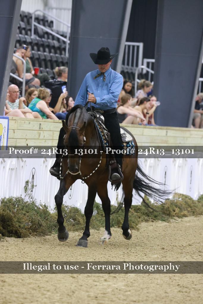 Proof 24R13_13101