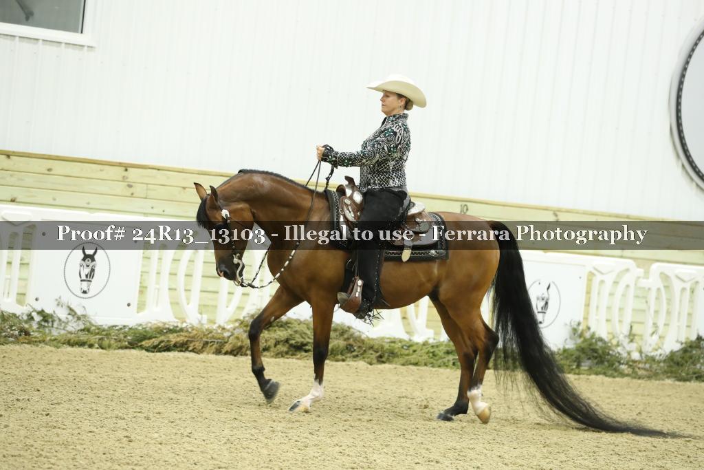 Proof 24R13_13103
