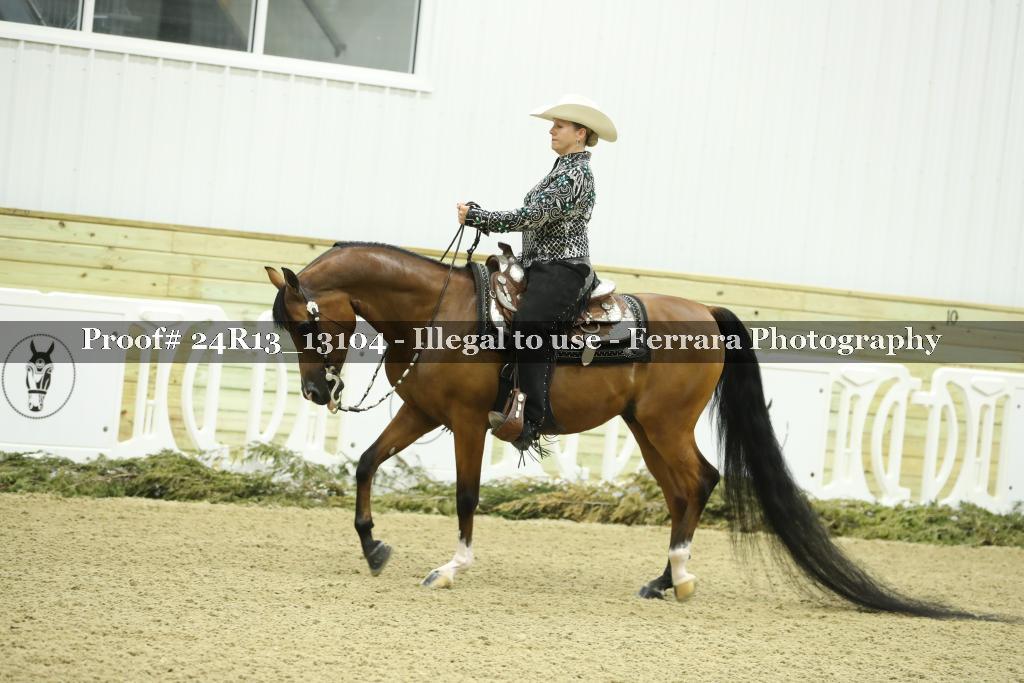 Proof 24R13_13104