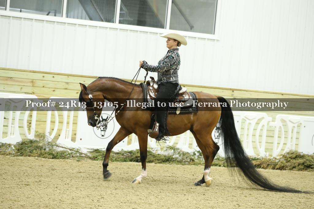 Proof 24R13_13105