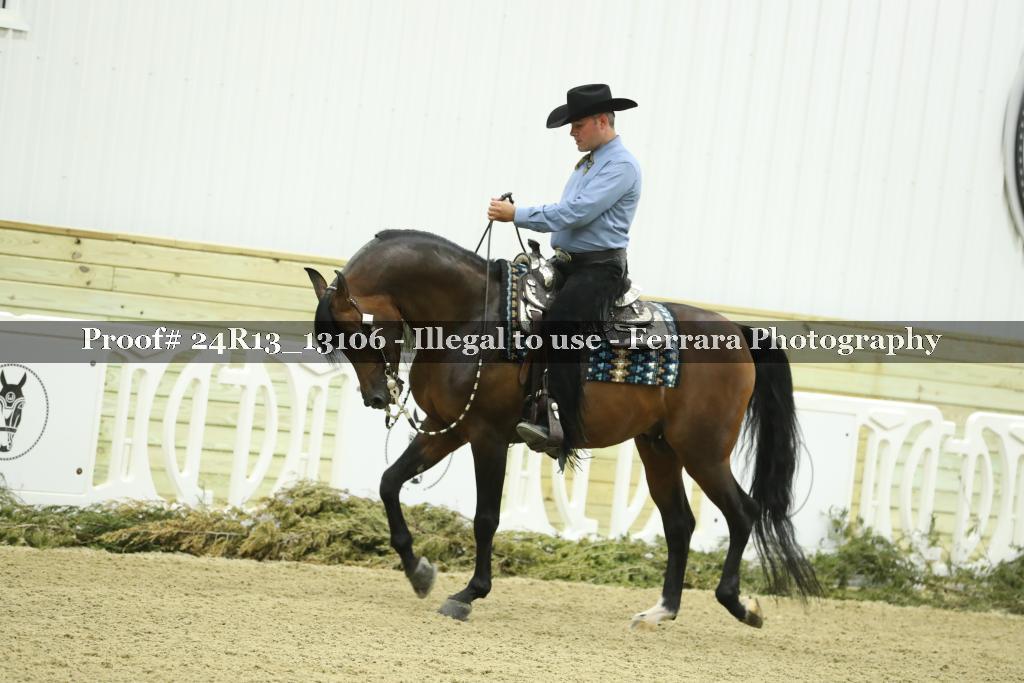 Proof 24R13_13106