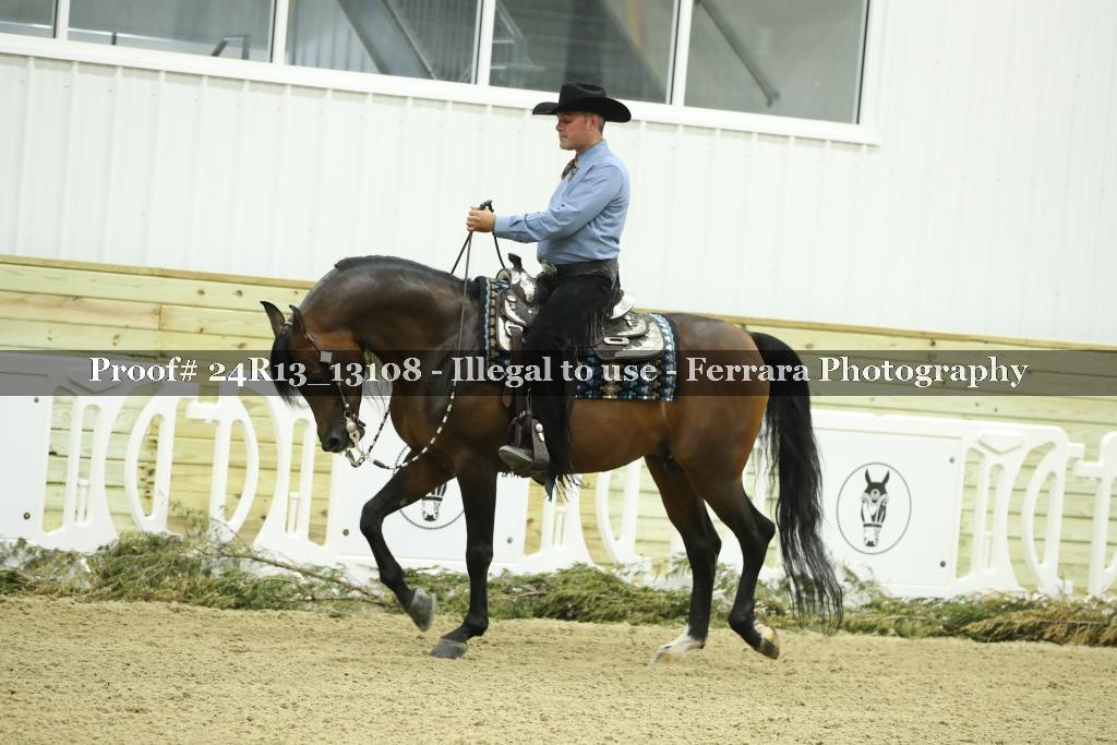 Proof 24R13_13108