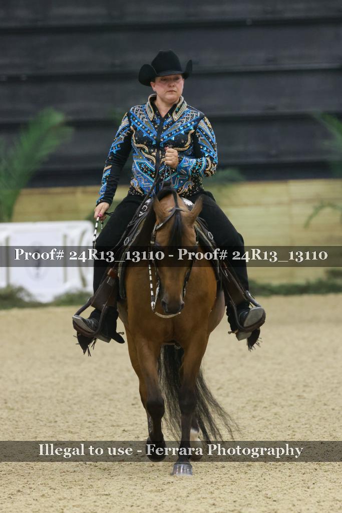 Proof 24R13_13110