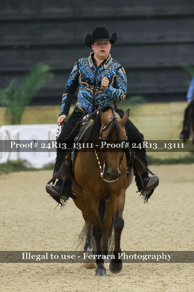 Proof 24R13_13111