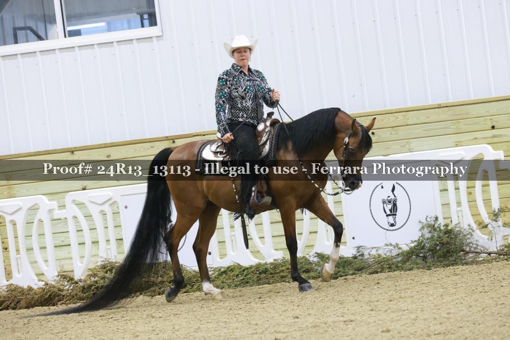 Proof 24R13_13113