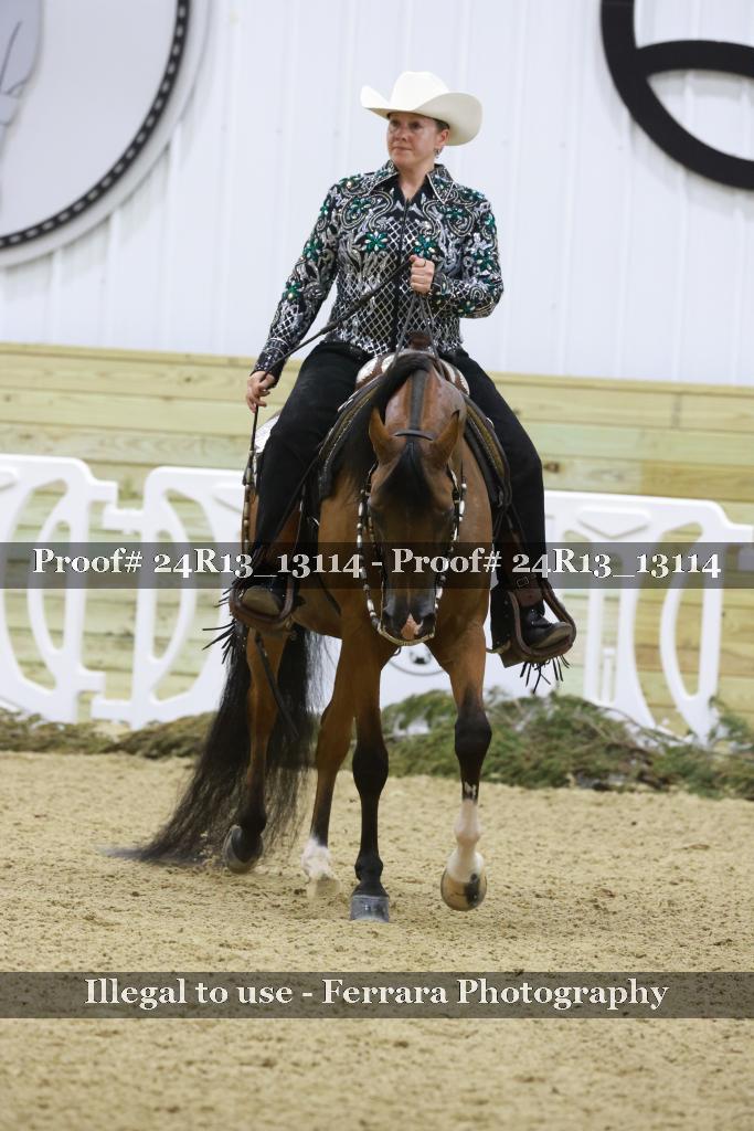 Proof 24R13_13114
