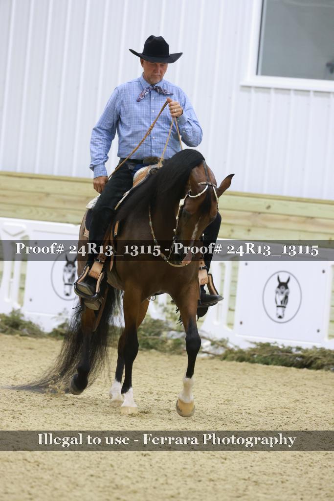 Proof 24R13_13115