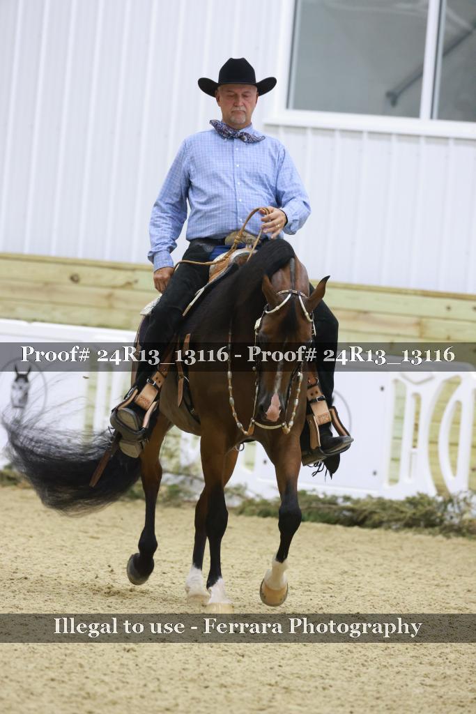 Proof 24R13_13116