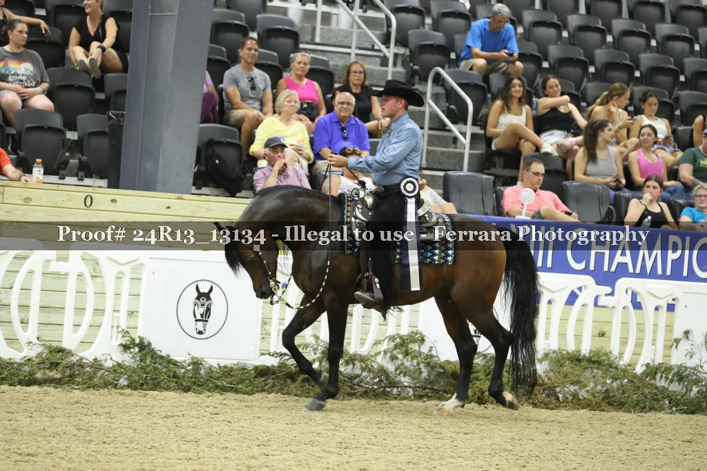 Proof 24R13_13134