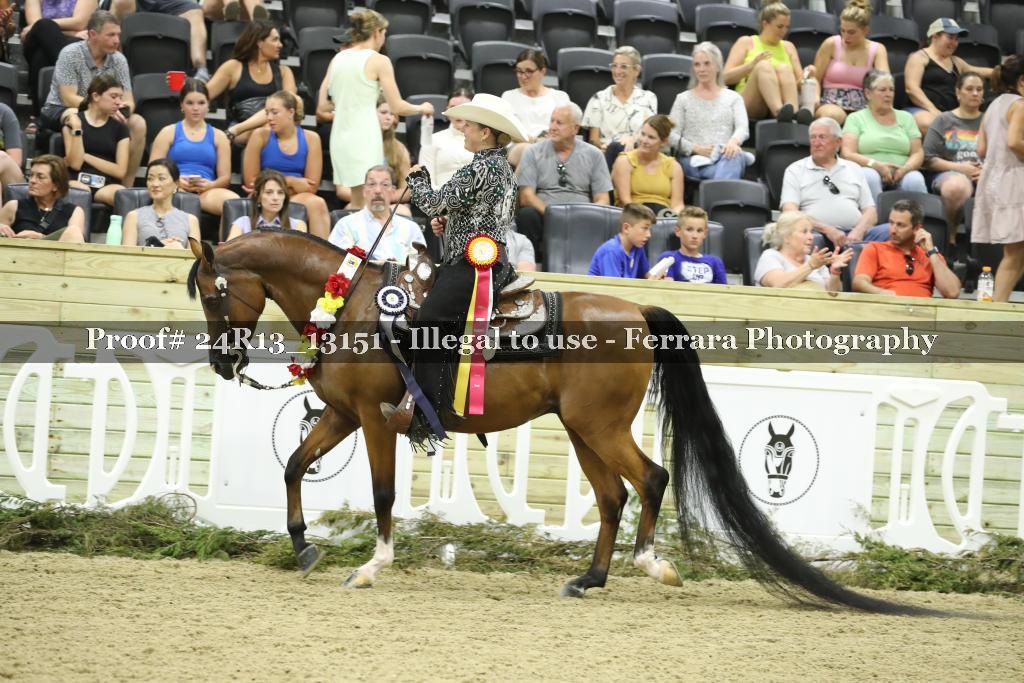Proof 24R13_13151