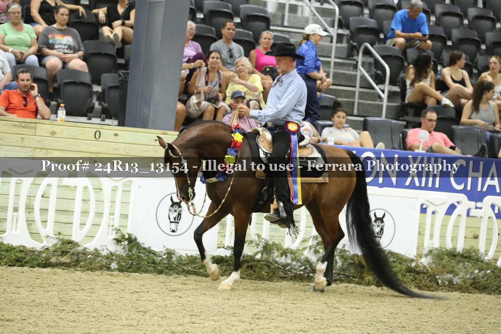 Proof 24R13_13154