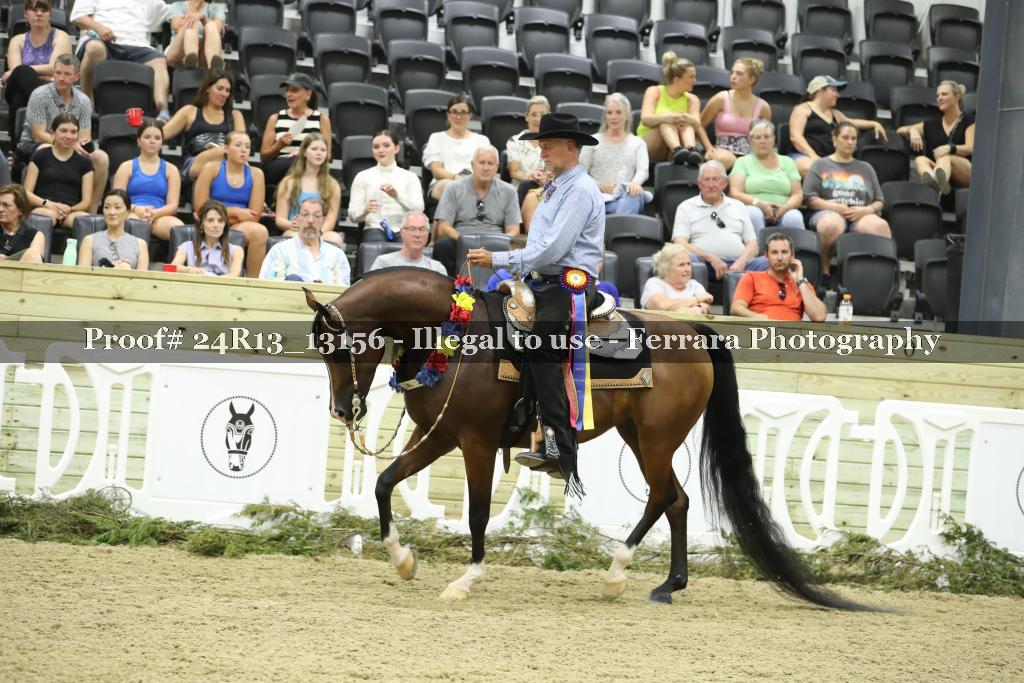 Proof 24R13_13156