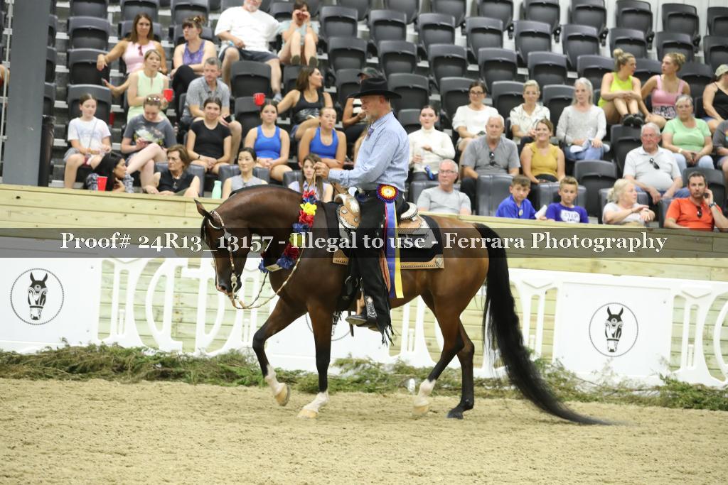 Proof 24R13_13157