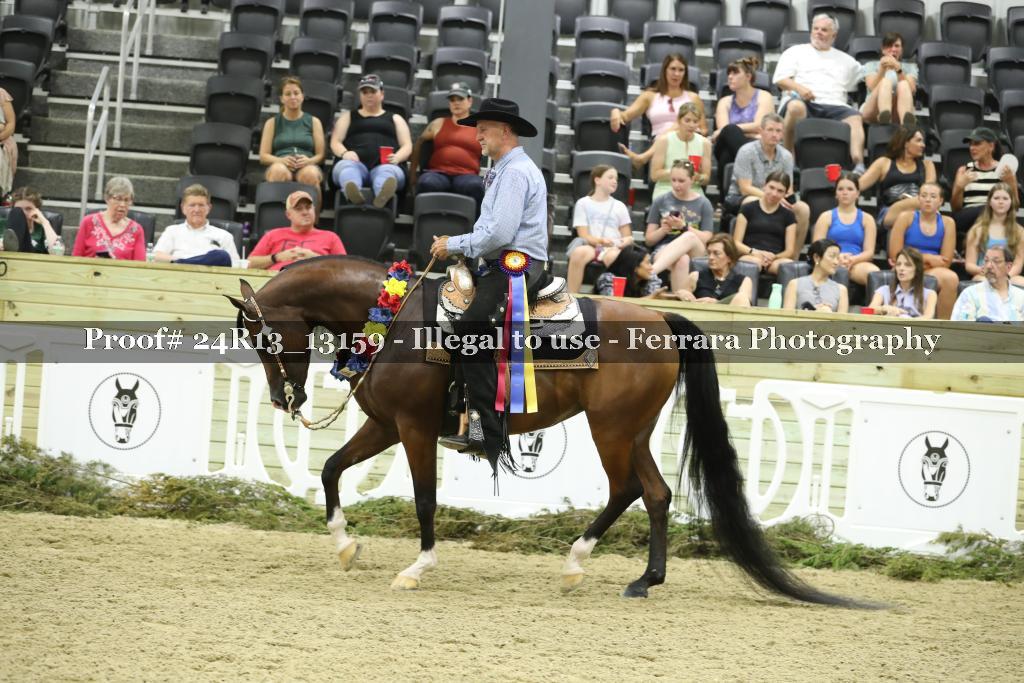 Proof 24R13_13159