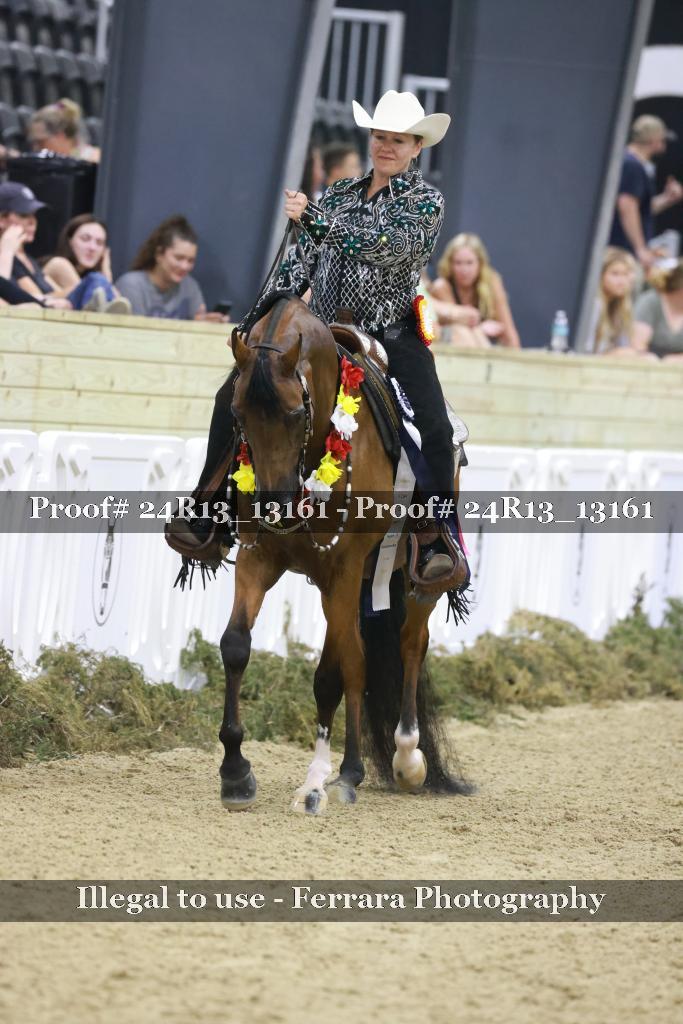 Proof 24R13_13161