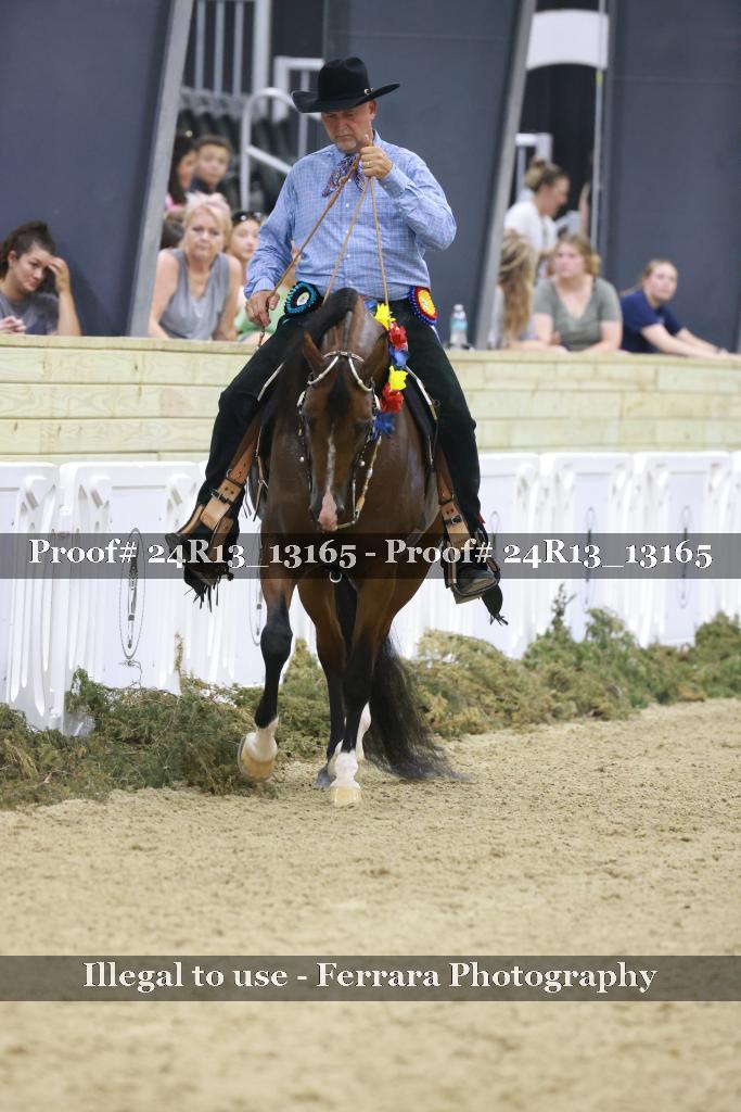 Proof 24R13_13165