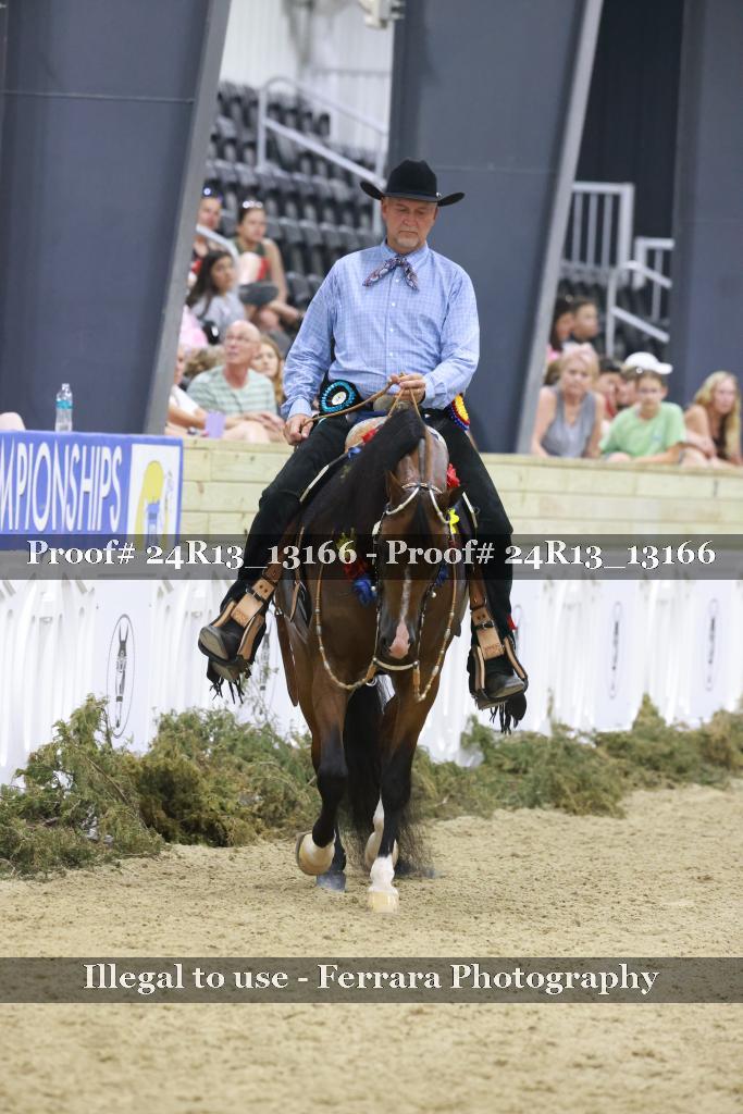 Proof 24R13_13166