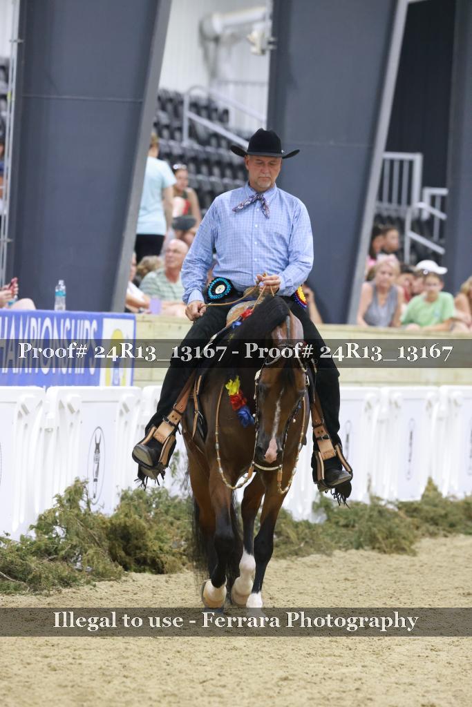 Proof 24R13_13167
