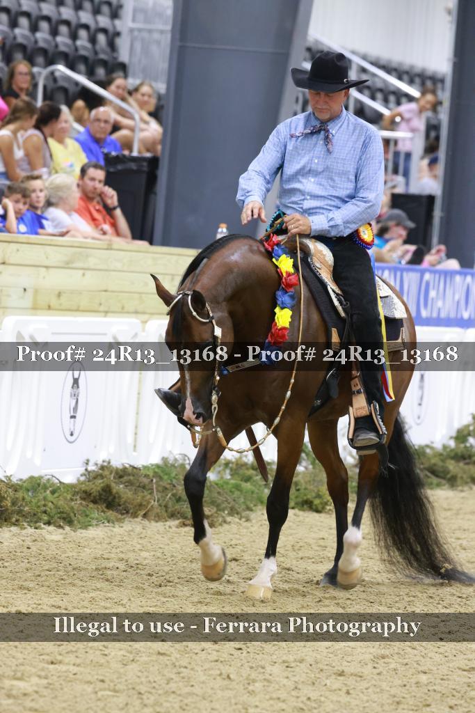 Proof 24R13_13168