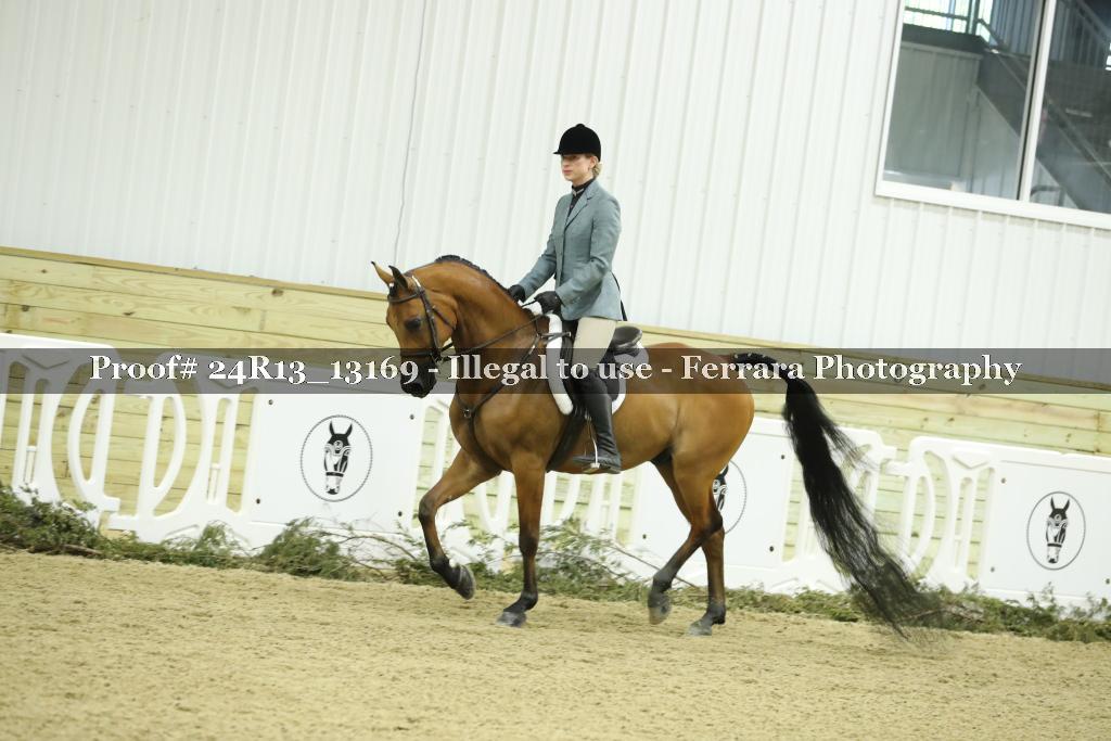 Proof 24R13_13169