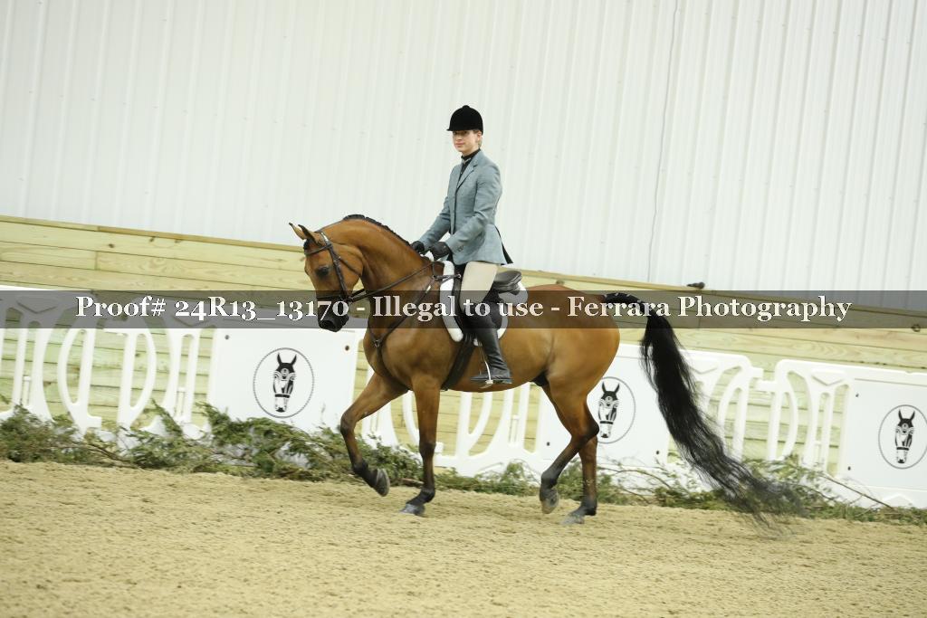 Proof 24R13_13170