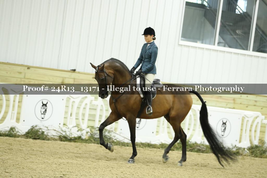 Proof 24R13_13171
